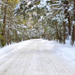 Sunny Winter Road